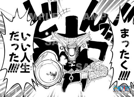 ONE PIECEブロマイド ONE PIECE x mastermind JAPAN プチラマDX ONE PIECE LOGBOX RE