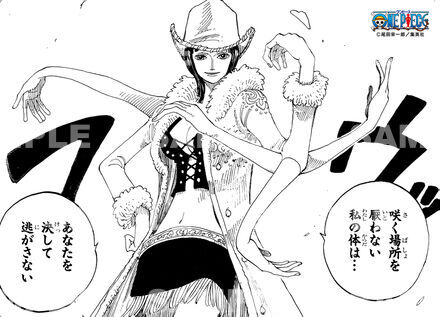 ONE PIECEブロマイド One piece – NEKO STOP