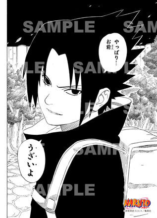 NARUTO-ナルト- 疾風伝 ミニブロマイドコレクション 桜ver. 10